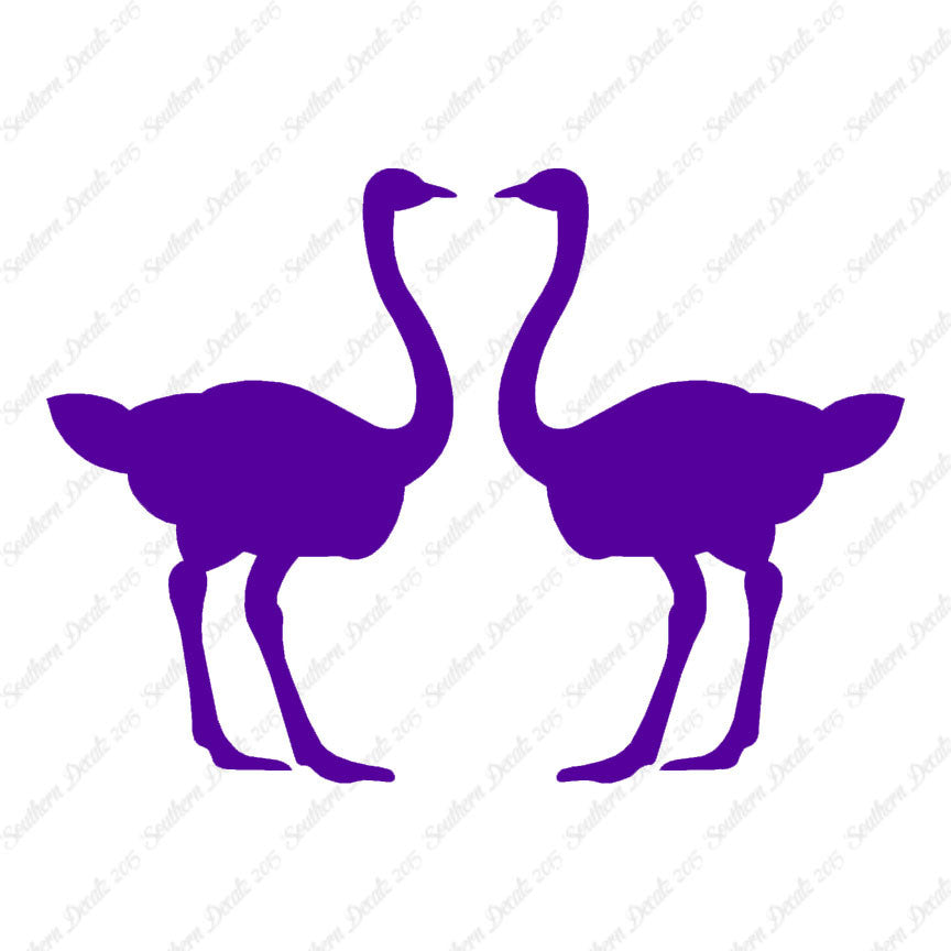 Pair Of Ostrich Ostriches