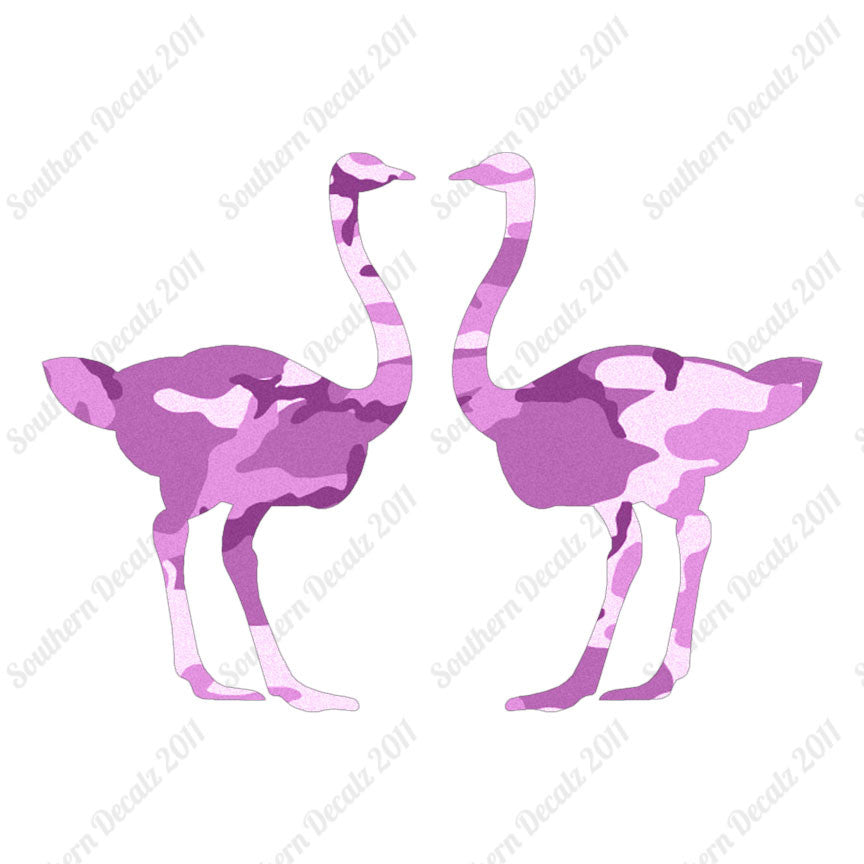 Pair Of Ostrich Ostriches