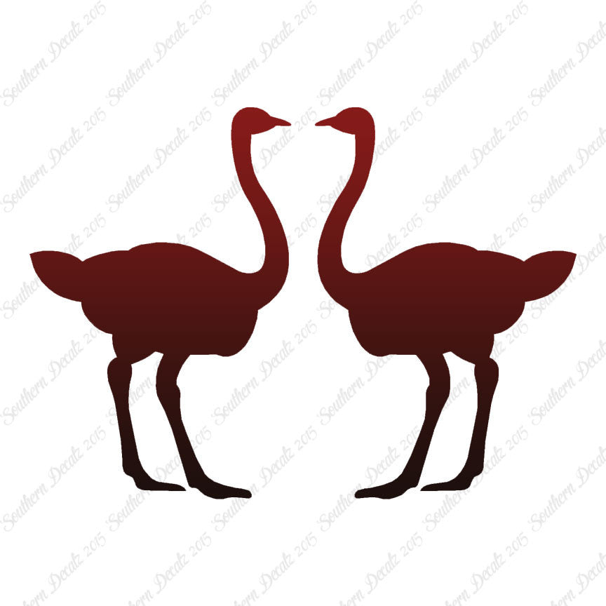 Pair Of Ostrich Ostriches
