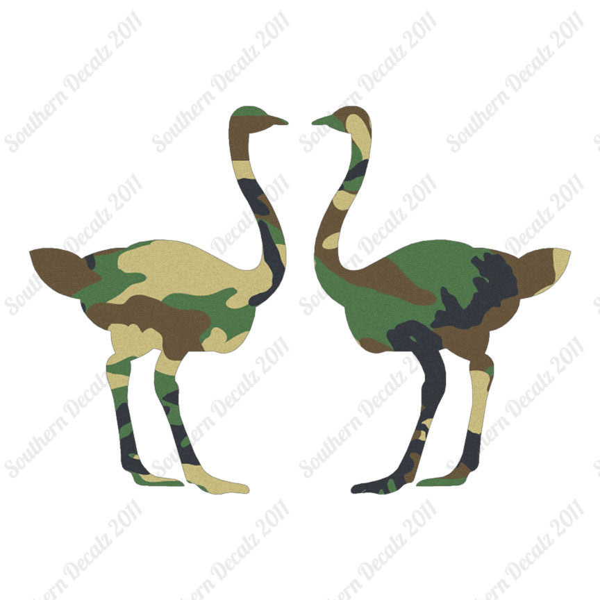 Pair Of Ostrich Ostriches