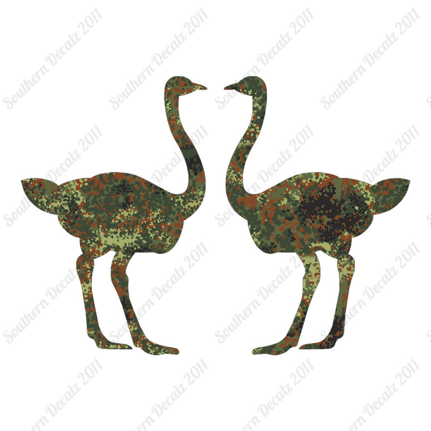 Pair Of Ostrich Ostriches