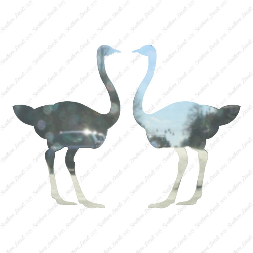 Pair Of Ostrich Ostriches