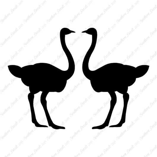 Pair Of Ostrich Ostriches