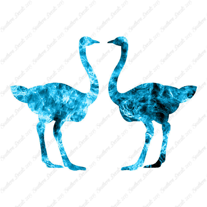 Pair Of Ostrich Ostriches