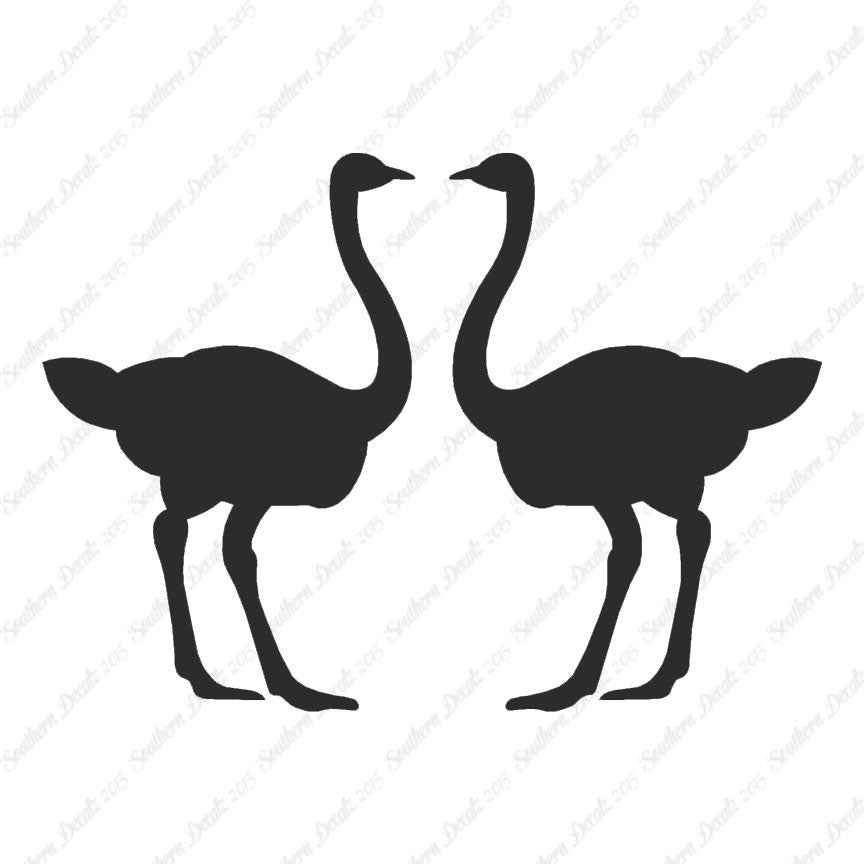 Pair Of Ostrich Ostriches