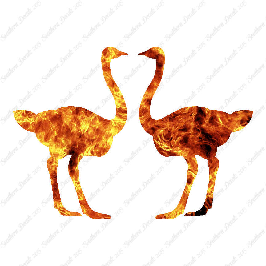 Pair Of Ostrich Ostriches