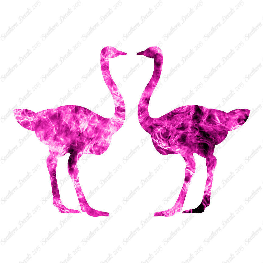 Pair Of Ostrich Ostriches