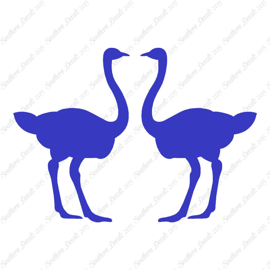 Pair Of Ostrich Ostriches