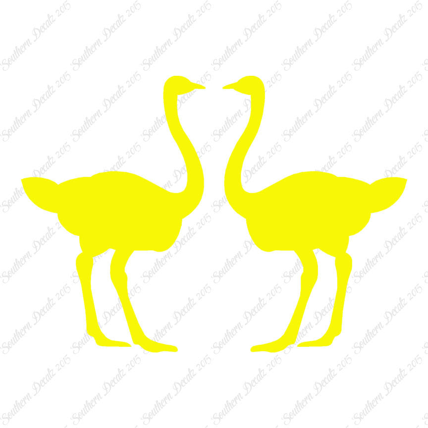 Pair Of Ostrich Ostriches