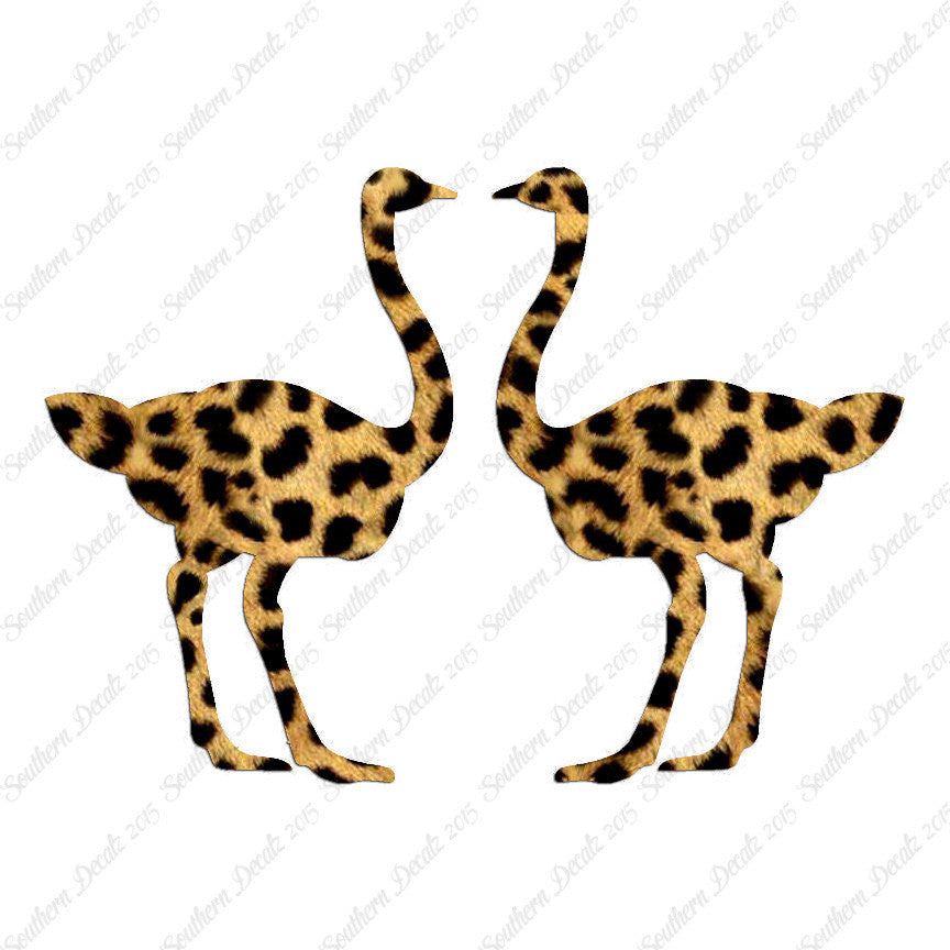 Pair Of Ostrich Ostriches