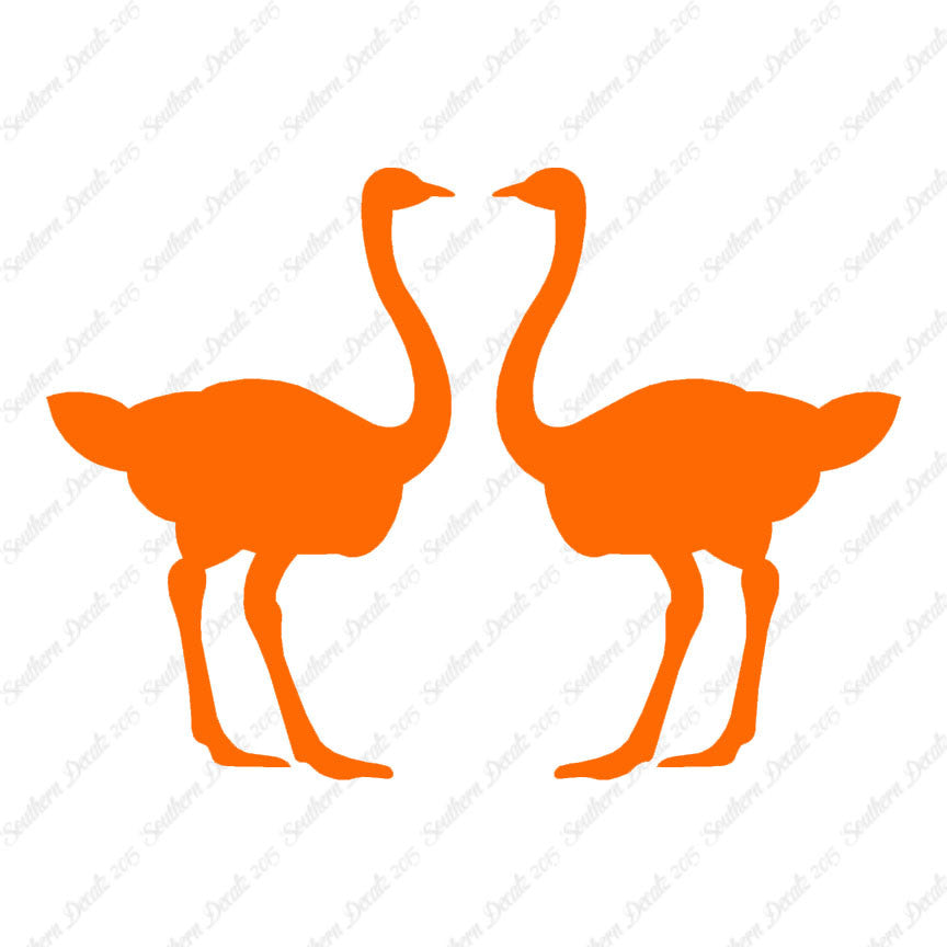 Pair Of Ostrich Ostriches