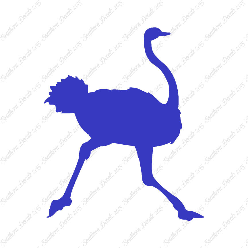 Ostrich Running