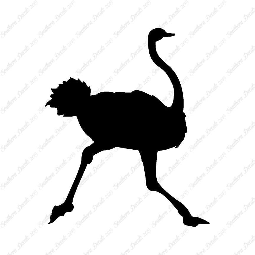 Ostrich Running