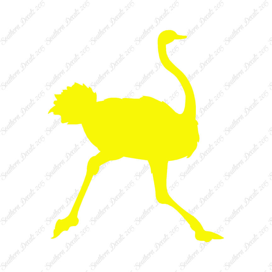 Ostrich Running