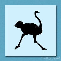 Ostrich Running