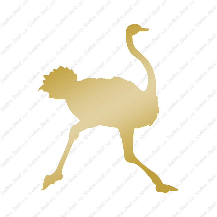 Ostrich Running