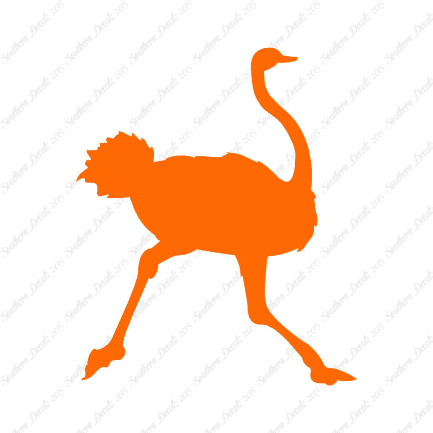 Ostrich Running