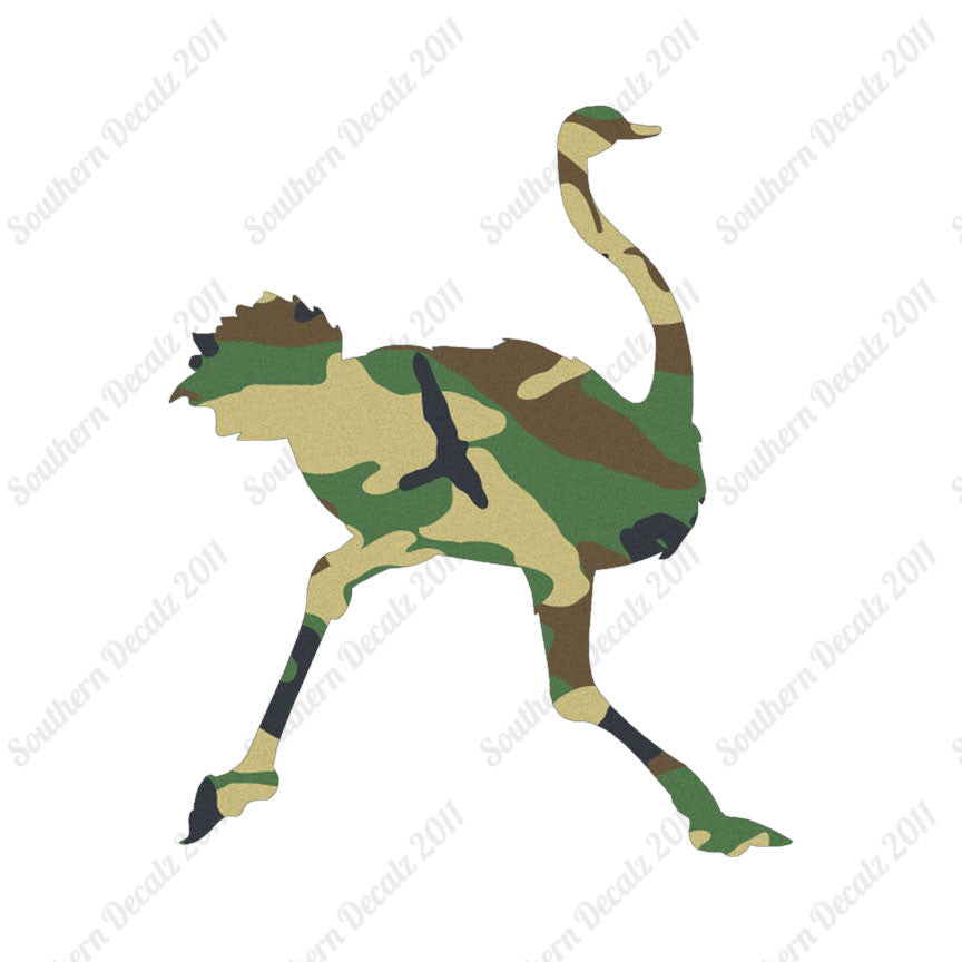 Ostrich Running