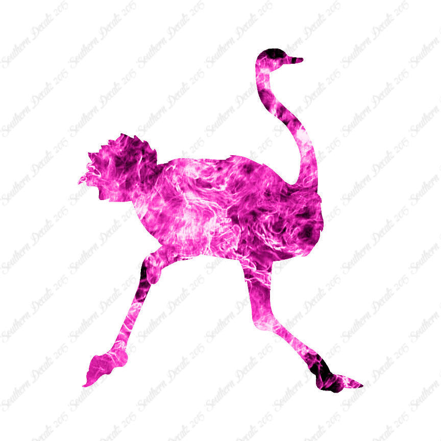 Ostrich Running