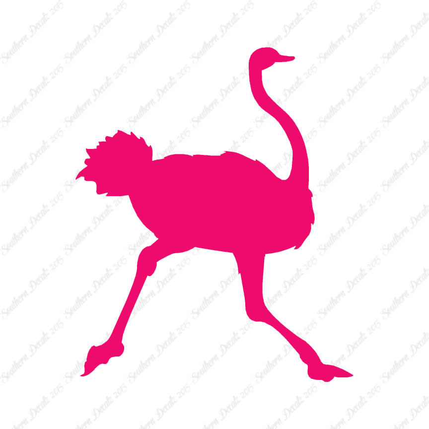 Ostrich Running