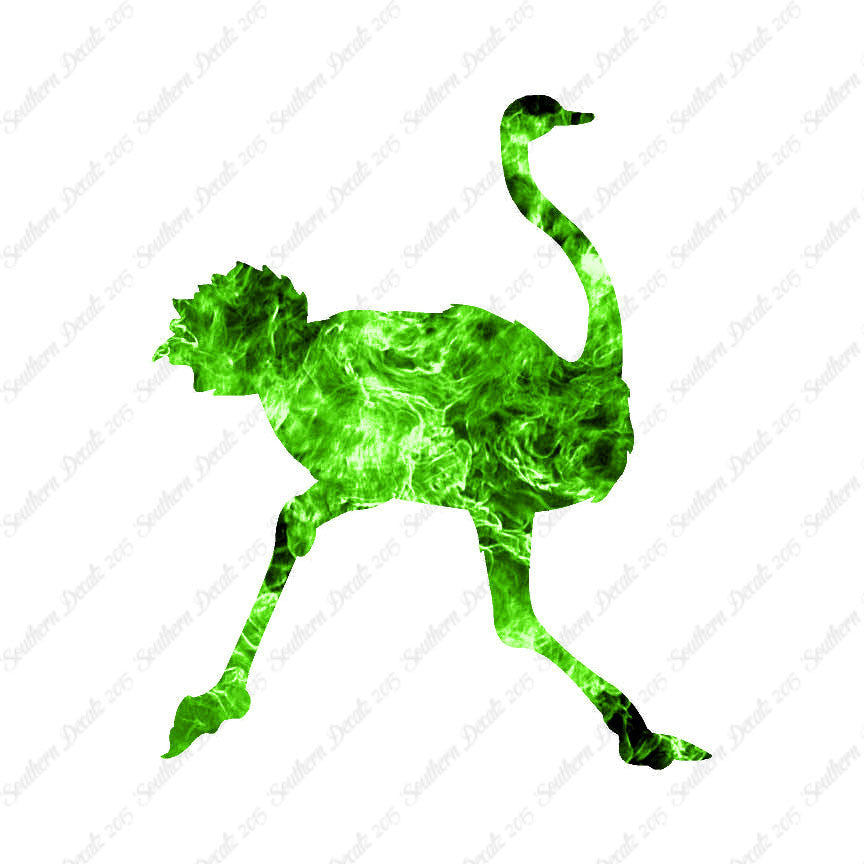 Ostrich Running