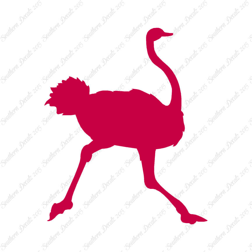 Ostrich Running