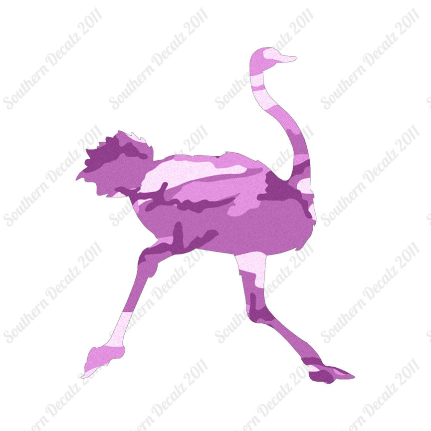 Ostrich Running