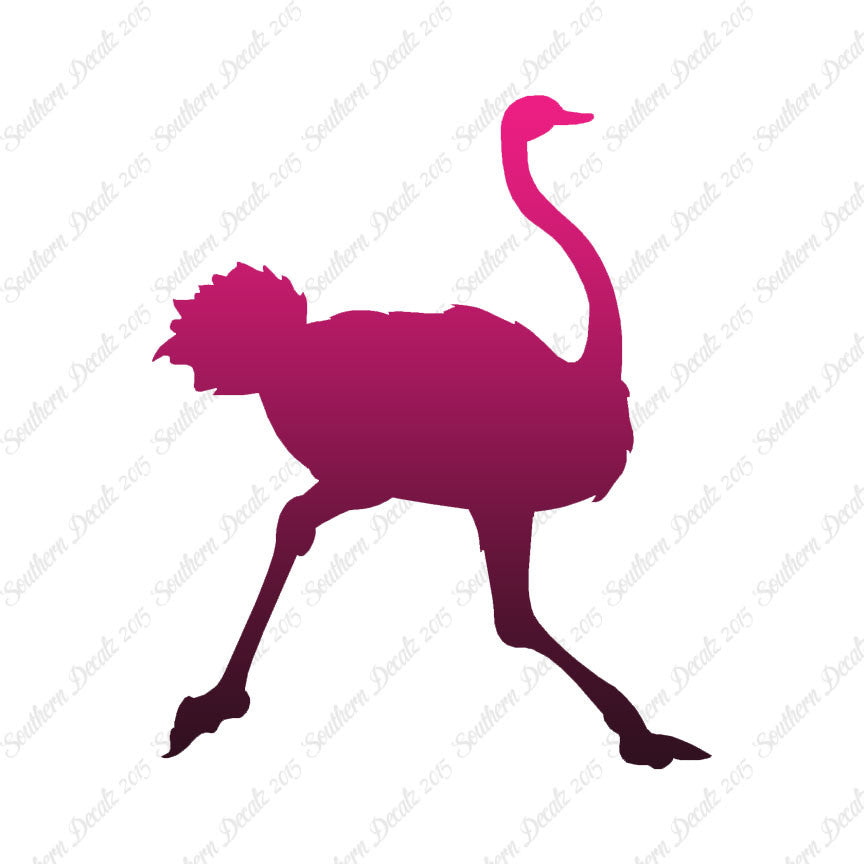 Ostrich Running