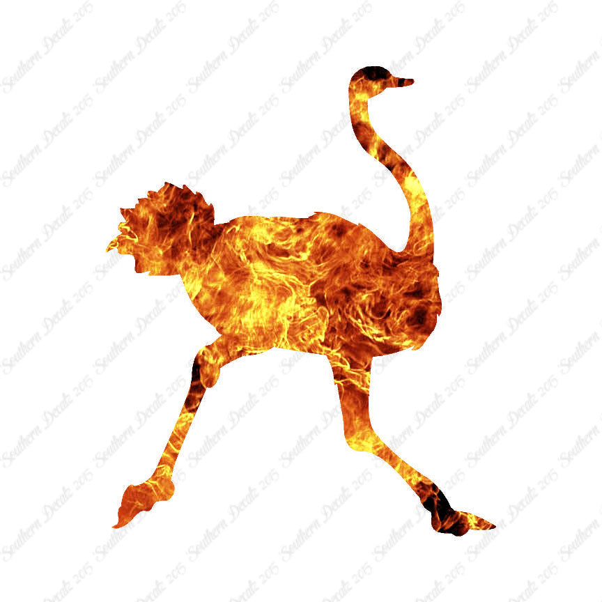 Ostrich Running