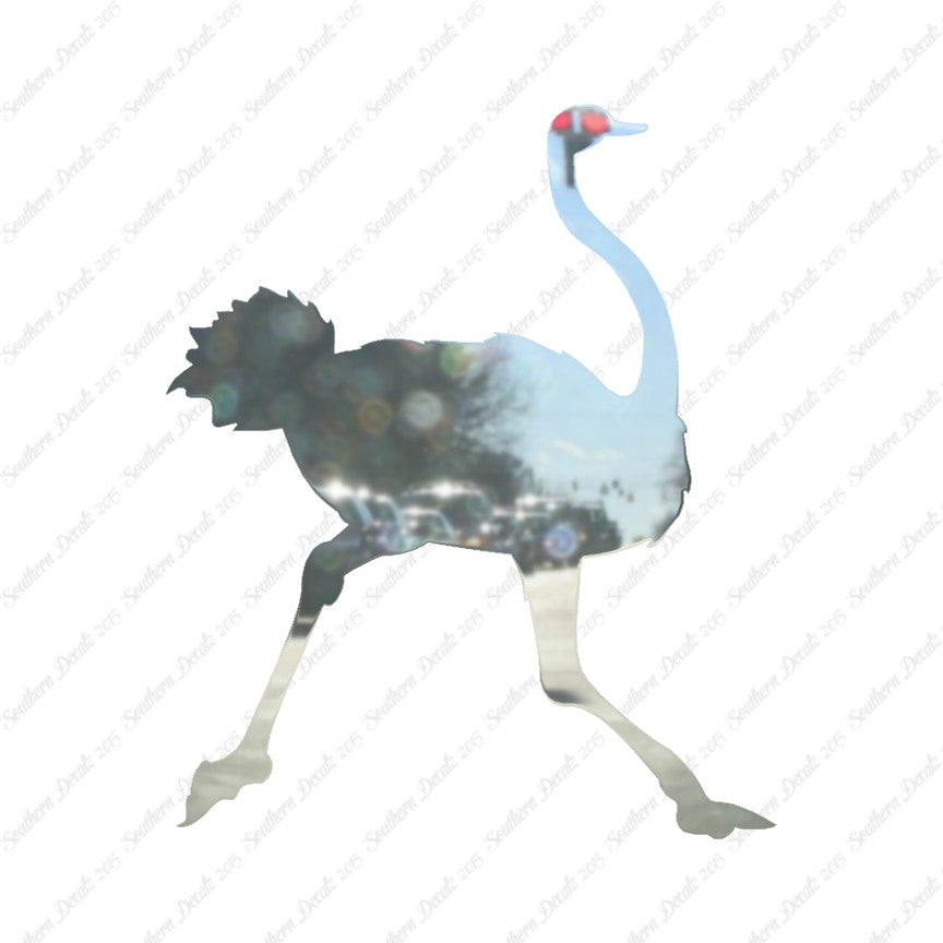 Ostrich Running
