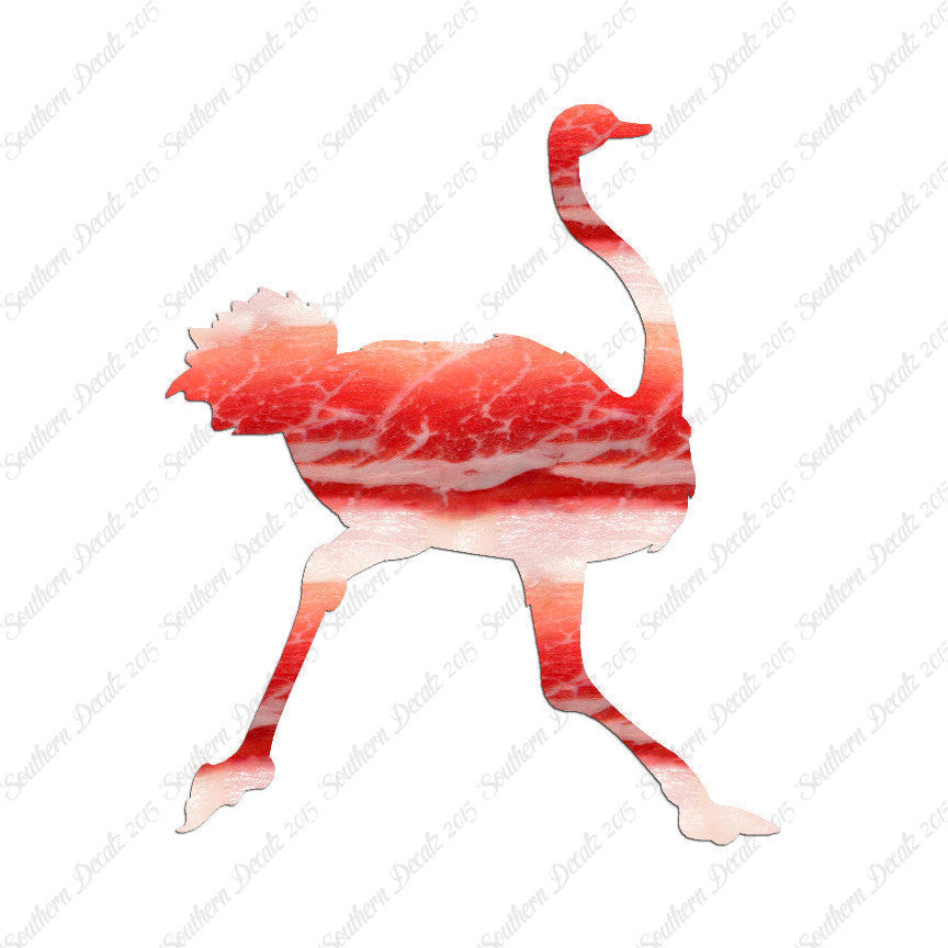 Ostrich Running