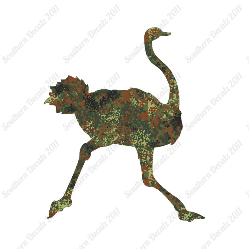 Ostrich Running