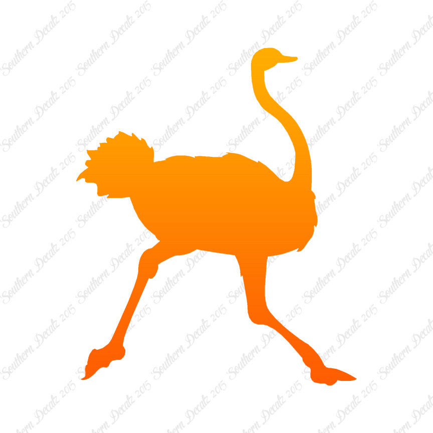 Ostrich Running