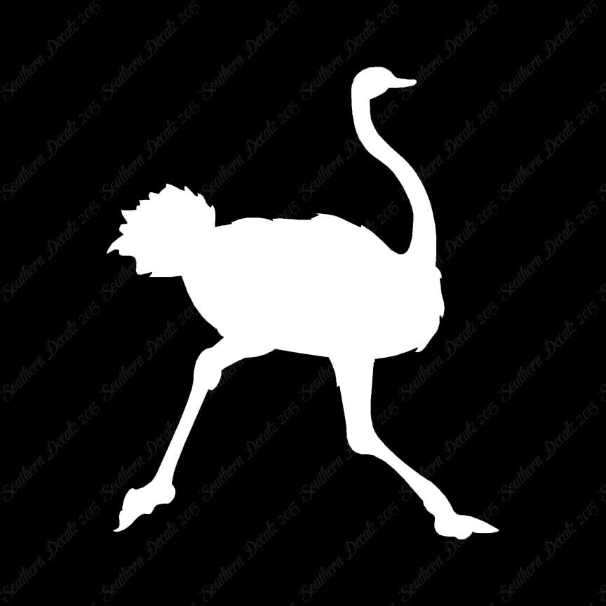 Ostrich Running