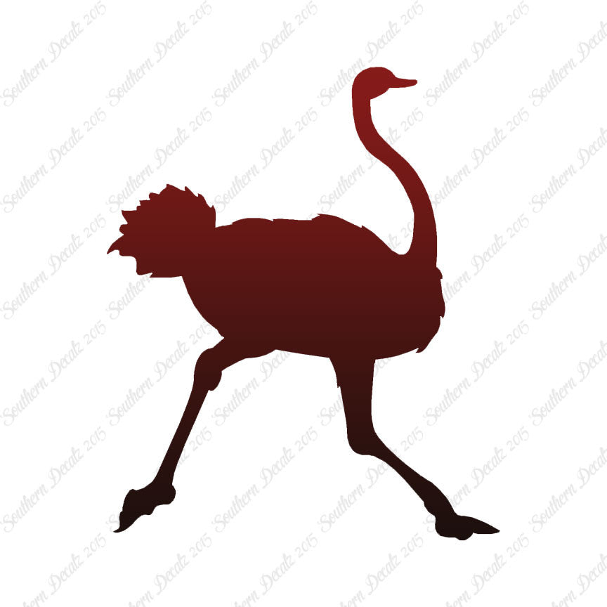 Ostrich Running