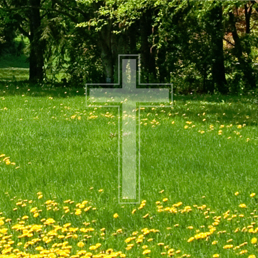 Outlined Cross