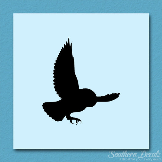 Barn Owl Bird