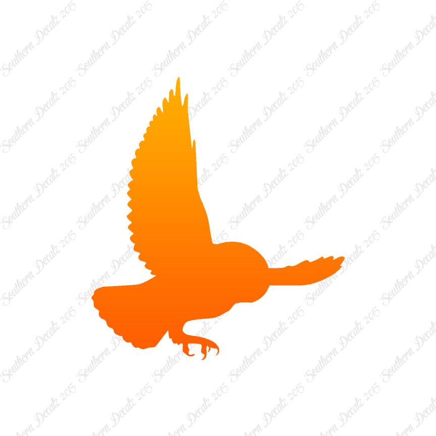 Barn Owl Bird
