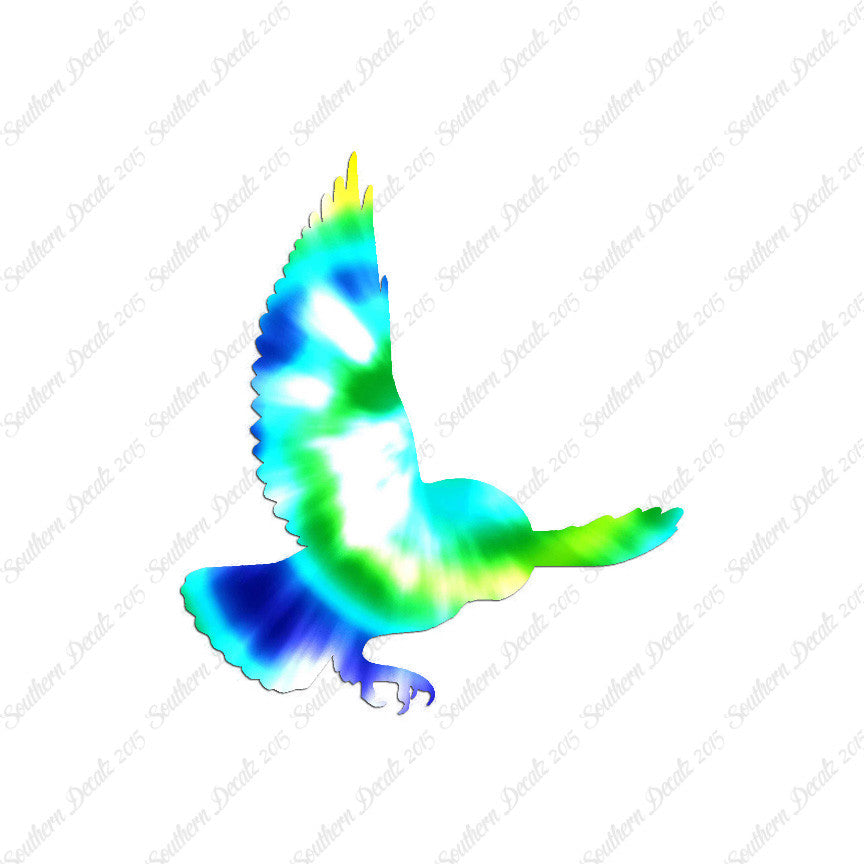 Barn Owl Bird