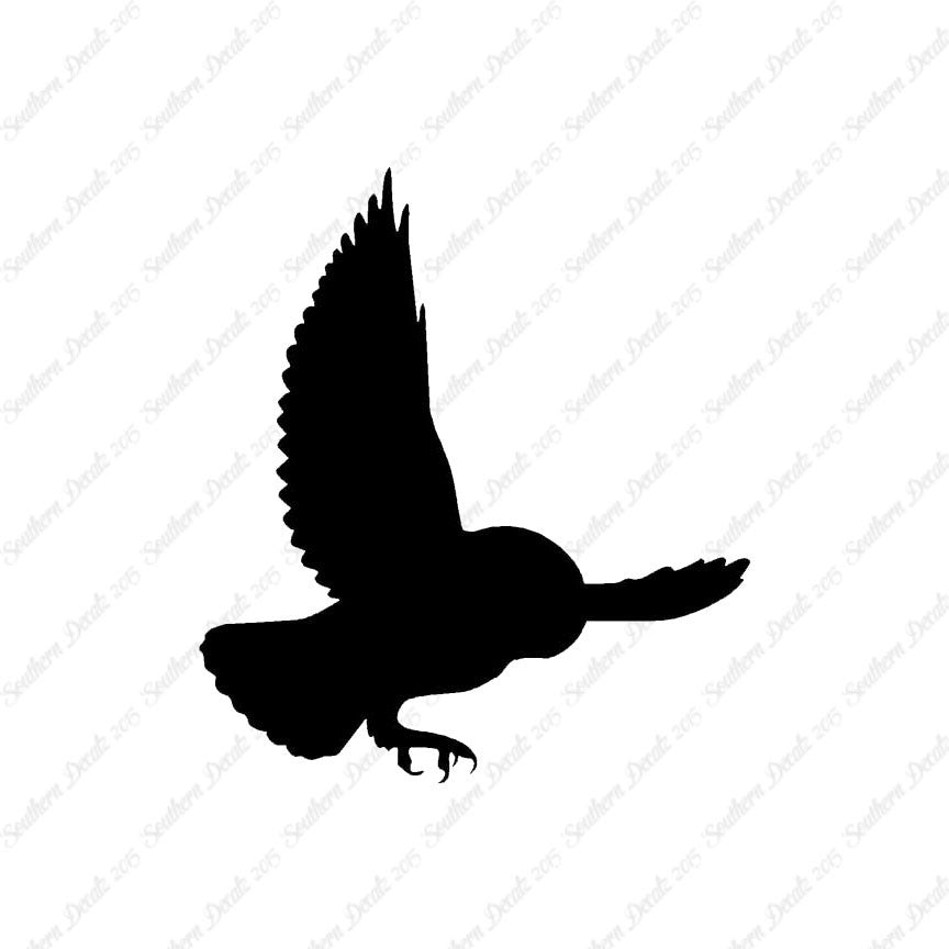 Barn Owl Bird
