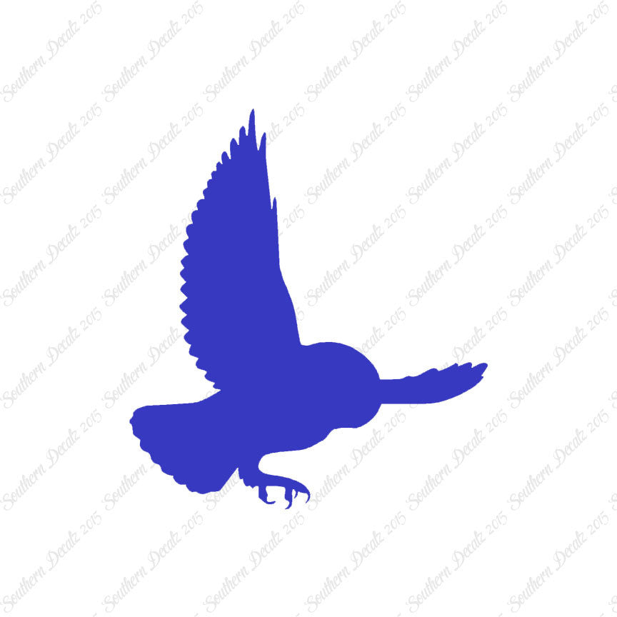 Barn Owl Bird