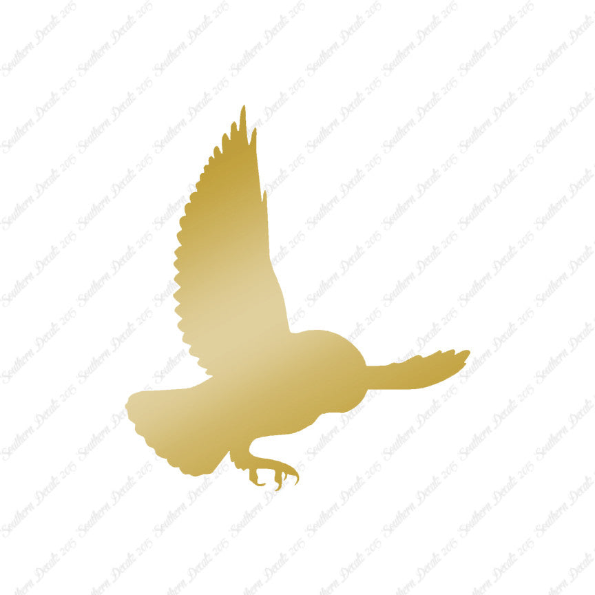 Barn Owl Bird