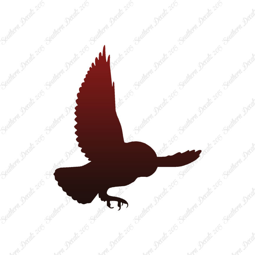 Barn Owl Bird