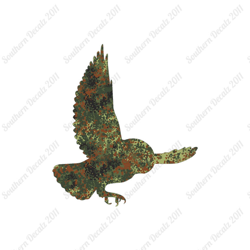Barn Owl Bird