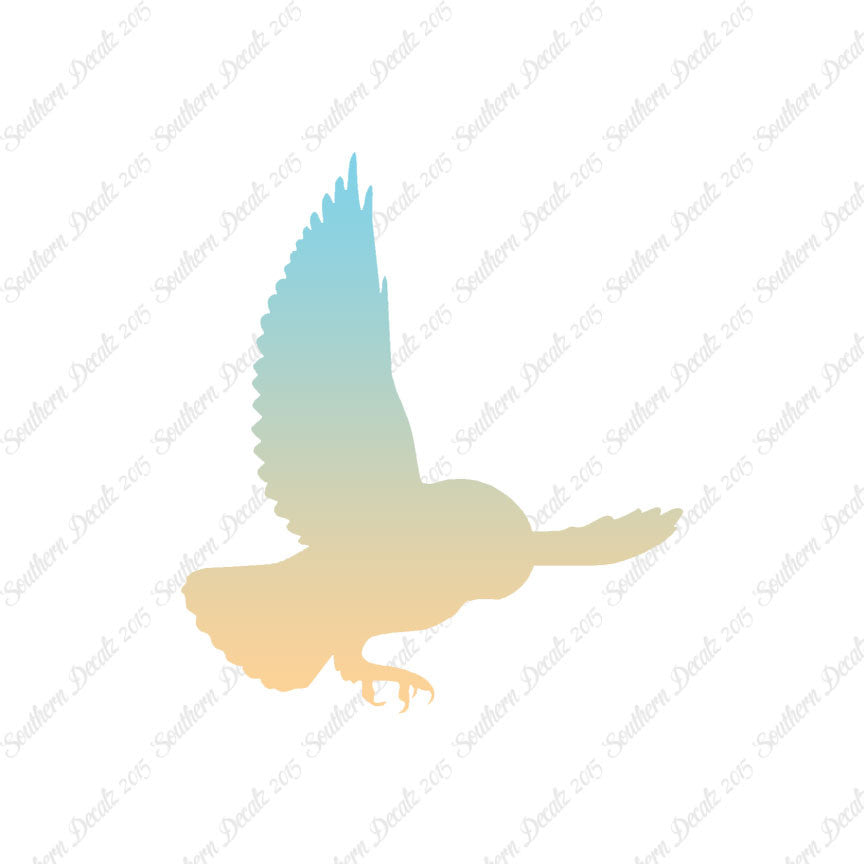 Barn Owl Bird