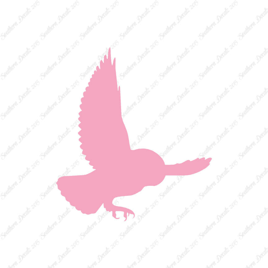 Barn Owl Bird