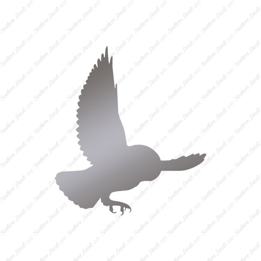 Barn Owl Bird