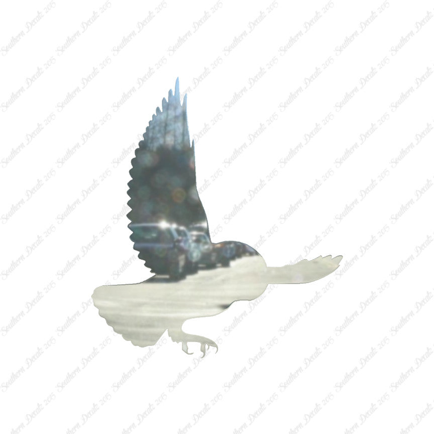 Barn Owl Bird