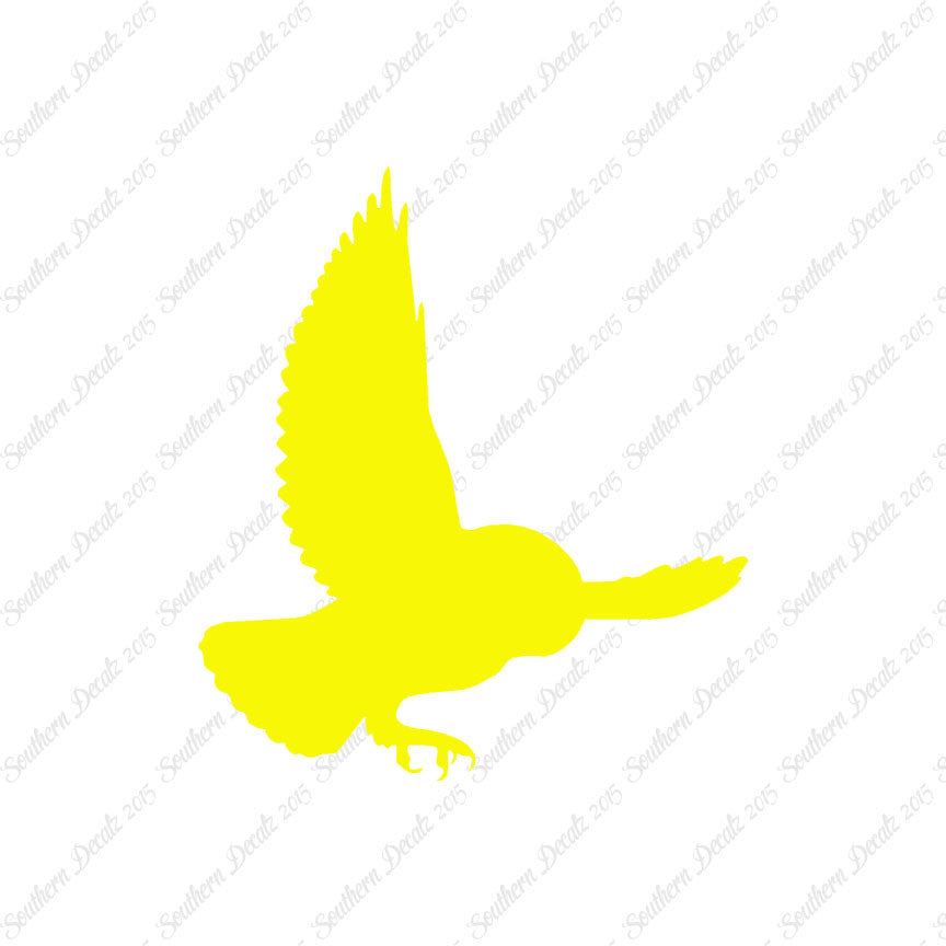 Barn Owl Bird