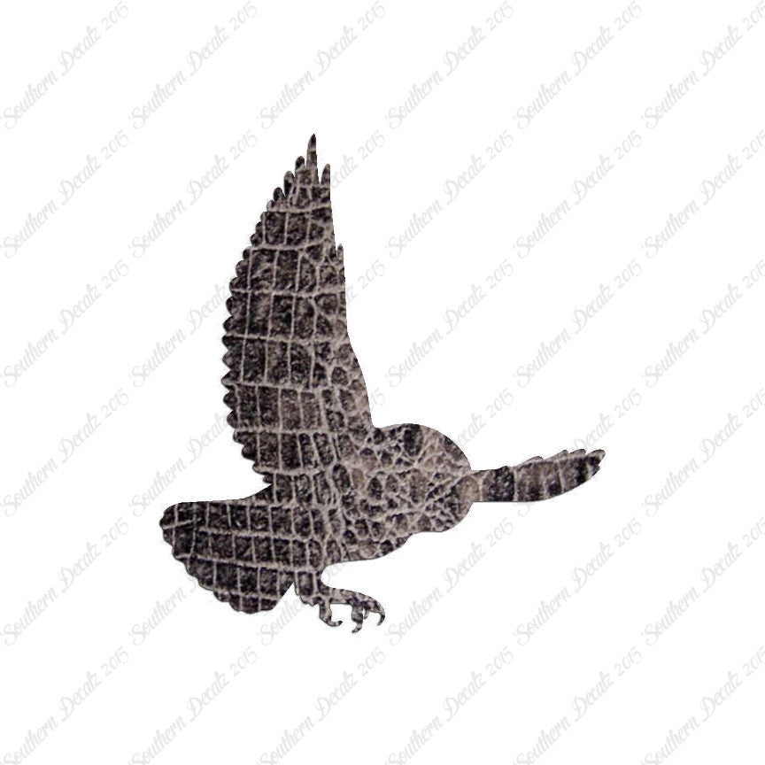 Barn Owl Bird